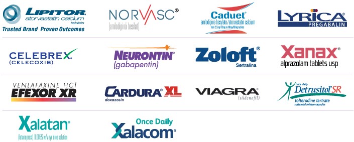 Our Portfolio